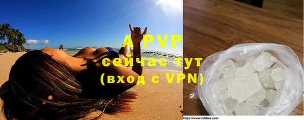 прущие крисы Богданович