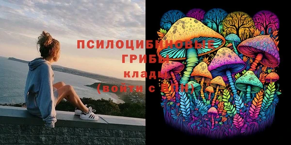 прущие крисы Богданович