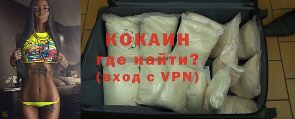 молекула духа Богородицк