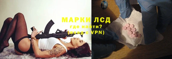 молекула духа Богородицк