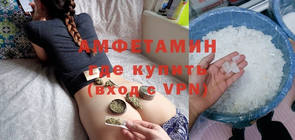 молекула духа Богородицк