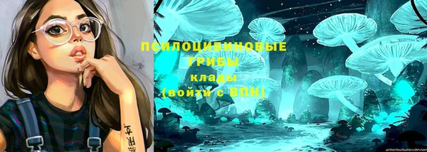 молекула духа Богородицк