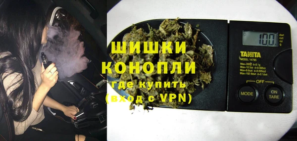 молекула духа Богородицк