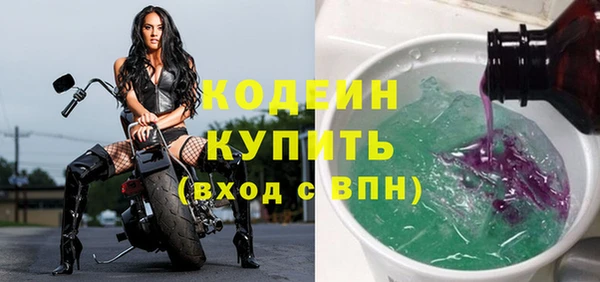 молекула духа Богородицк