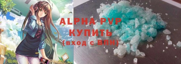 молекула духа Богородицк