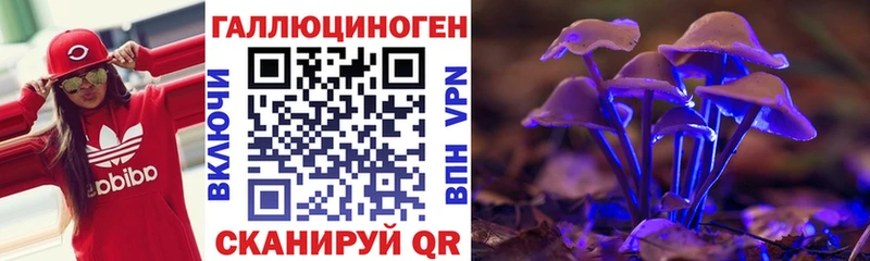 Купить где  Давлеканово  Псилоцибиновые грибы MAGIC MUSHROOMS 